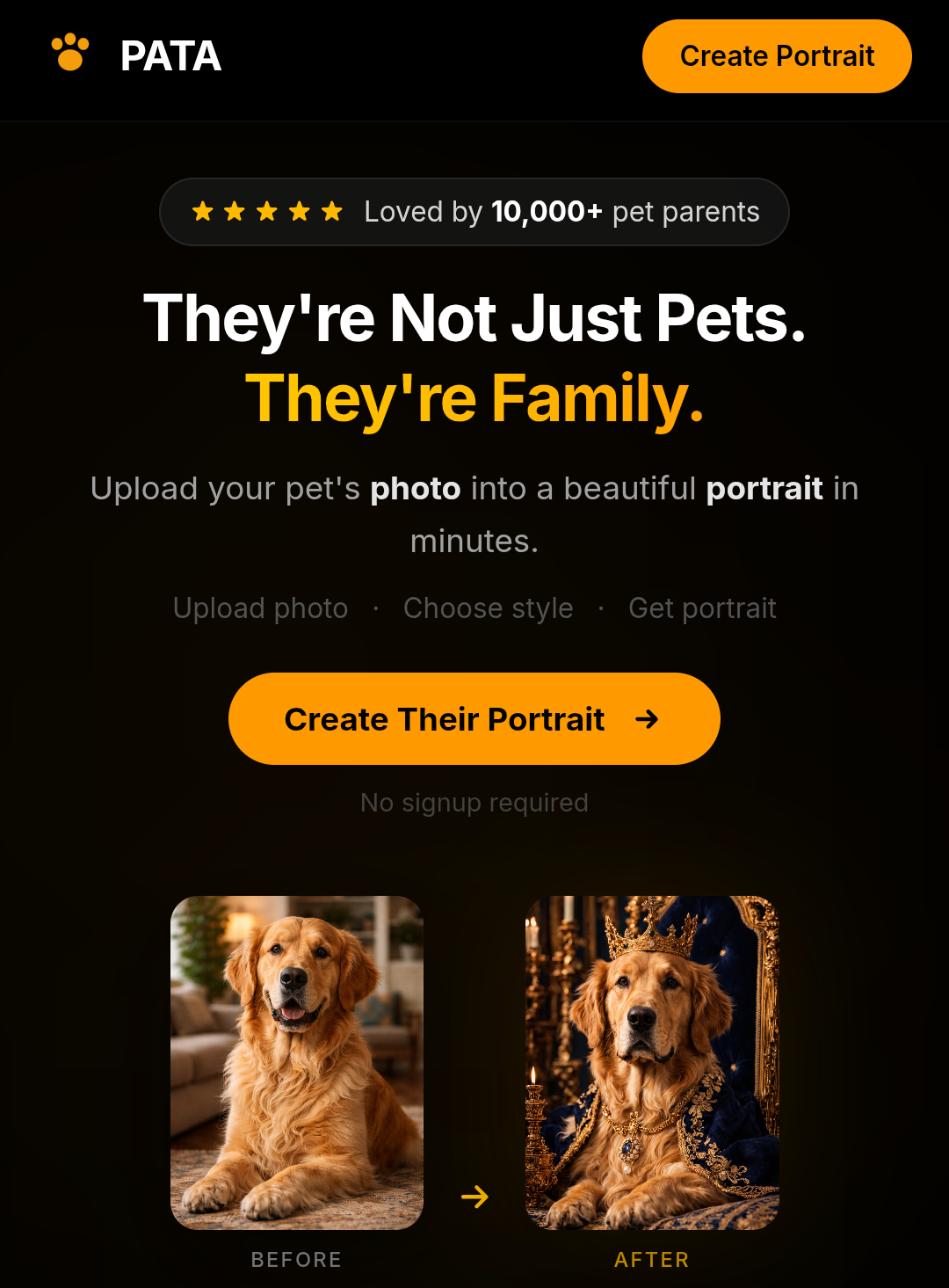 Pata custom pet portraits product preview
